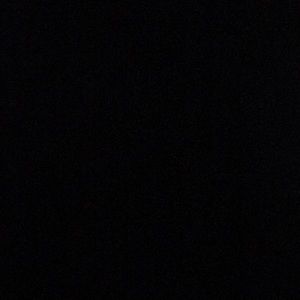 Meet your Posher, Izzy